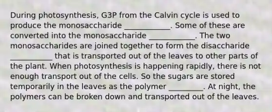 During photosynthesis, G3P from the Calvin cycle is used to produce the monosaccharide ____________. Some of these are converted into the monosaccharide ____________. The two monosaccharides are joined together to form the disaccharide ___________ that is transported out of the leaves to other parts of the plant. When photosynthesis is happening rapidly, there is not enough transport out of the cells. So the sugars are stored temporarily in the leaves as the polymer _________. At night, the polymers can be broken down and transported out of the leaves.