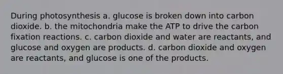 During photosynthesis a. glucose is broken down into carbon dioxide. b. the mitochondria make the ATP to drive the carbon fixation reactions. c. carbon dioxide and water are reactants, and glucose and oxygen are products. d. carbon dioxide and oxygen are reactants, and glucose is one of the products.