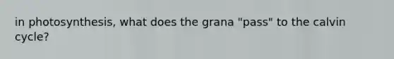 in photosynthesis, what does the grana "pass" to the calvin cycle?