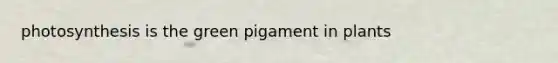 photosynthesis is the green pigament in plants