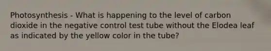 Photosynthesis - What is happening to the level of carbon dioxide in the negative control test tube without the Elodea leaf as indicated by the yellow color in the tube?