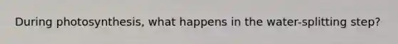 During photosynthesis, what happens in the water-splitting step?