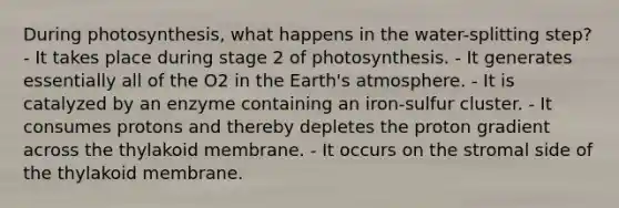 During photosynthesis, what happens in the water-splitting step? - It takes place during stage 2 of photosynthesis. - It generates essentially all of the O2 in the Earth's atmosphere. - It is catalyzed by an enzyme containing an iron-sulfur cluster. - It consumes protons and thereby depletes the proton gradient across the thylakoid membrane. - It occurs on the stromal side of the thylakoid membrane.