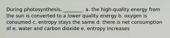 During photosynthesis, ________. a. the high-quality energy from the sun is converted to a lower quality energy b. oxygen is consumed c. entropy stays the same d. there is net consumption of e. water and carbon dioxide e. entropy increases