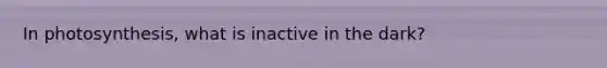 In photosynthesis, what is inactive in the dark?