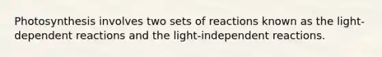 Photosynthesis involves two sets of reactions known as the light-dependent reactions and the light-independent reactions.