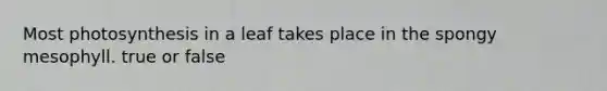 Most photosynthesis in a leaf takes place in the spongy mesophyll. true or false