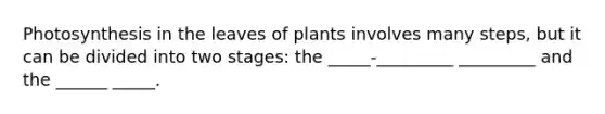 Photosynthesis in the leaves of plants involves many steps, but it can be divided into two stages: the _____-_________ _________ and the ______ _____.