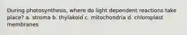 During photosynthesis, where do light dependent reactions take place? a. stroma b. thylakoid c. mitochondria d. chloroplast membranes