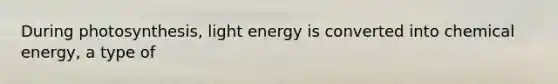 During photosynthesis, light energy is converted into chemical energy, a type of