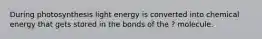 During photosynthesis light energy is converted into chemical energy that gets stored in the bonds of the ? molecule.