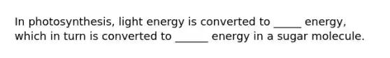 In photosynthesis, light energy is converted to _____ energy, which in turn is converted to ______ energy in a sugar molecule.