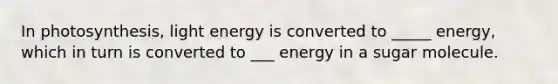 In photosynthesis, light energy is converted to _____ energy, which in turn is converted to ___ energy in a sugar molecule.