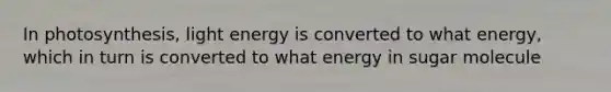 In photosynthesis, light energy is converted to what energy, which in turn is converted to what energy in sugar molecule