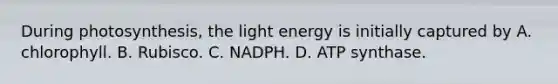 During photosynthesis, the light energy is initially captured by A. chlorophyll. B. Rubisco. C. NADPH. D. ATP synthase.