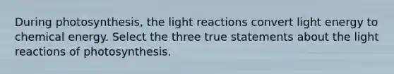 During photosynthesis, the light reactions convert light energy to chemical energy. Select the three true statements about the light reactions of photosynthesis.