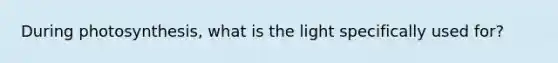 During photosynthesis, what is the light specifically used for?