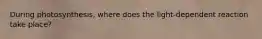 During photosynthesis, where does the light-dependent reaction take place?
