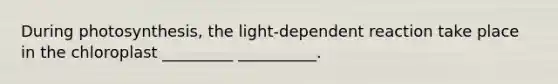 During photosynthesis, the light-dependent reaction take place in the chloroplast _________ __________.