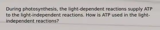 During photosynthesis, the light-dependent reactions supply ATP to the light-independent reactions. How is ATP used in the light-independent reactions?