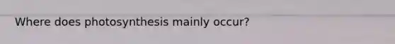 Where does photosynthesis mainly occur?