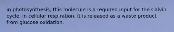 in photosynthesis, this molecule is a required input for the Calvin cycle. in <a href='https://www.questionai.com/knowledge/k1IqNYBAJw-cellular-respiration' class='anchor-knowledge'>cellular respiration</a>, it is released as a waste product from glucose oxidation.