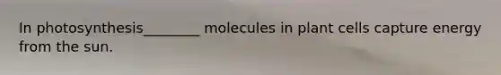 In photosynthesis________ molecules in plant cells capture energy from the sun.