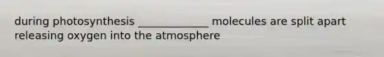 during photosynthesis _____________ molecules are split apart releasing oxygen into <a href='https://www.questionai.com/knowledge/kasO1LJ9rn-the-atmosphere' class='anchor-knowledge'>the atmosphere</a>