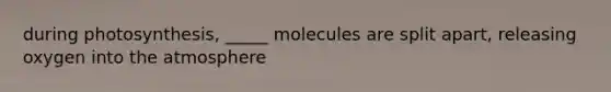 during photosynthesis, _____ molecules are split apart, releasing oxygen into the atmosphere