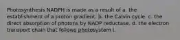 Photosynthesis NADPH is made as a result of a. the establishment of a proton gradient. b. the Calvin cycle. c. the direct absorption of photons by NADP reductase. d. the electron transport chain that follows photosystem I.