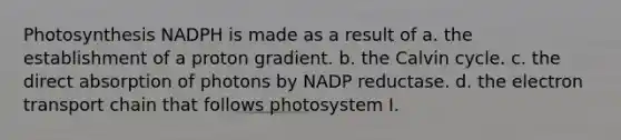 Photosynthesis NADPH is made as a result of a. the establishment of a proton gradient. b. the Calvin cycle. c. the direct absorption of photons by NADP reductase. d. the electron transport chain that follows photosystem I.