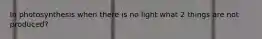 In photosynthesis when there is no light what 2 things are not produced?