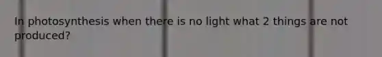 In photosynthesis when there is no light what 2 things are not produced?