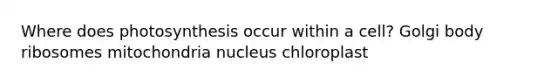 Where does photosynthesis occur within a cell? Golgi body ribosomes mitochondria nucleus chloroplast