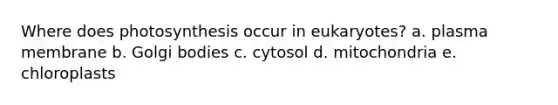 Where does photosynthesis occur in eukaryotes? a. plasma membrane b. Golgi bodies c. cytosol d. mitochondria e. chloroplasts