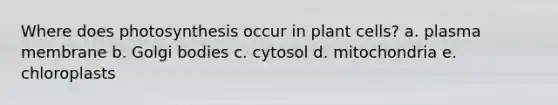 Where does photosynthesis occur in plant cells? a. ​plasma membrane b. Golgi bodies​ c. cytosol​ d. mitochondria​ e. ​chloroplasts