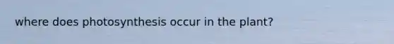 where does photosynthesis occur in the plant?