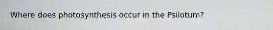 Where does photosynthesis occur in the Psilotum?