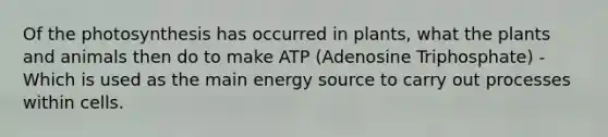 Of the photosynthesis has occurred in plants, what the plants and animals then do to make ATP (Adenosine Triphosphate) - Which is used as the main energy source to carry out processes within cells.