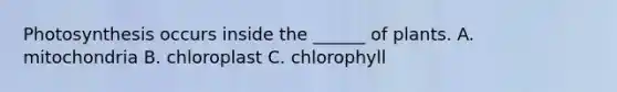 Photosynthesis occurs inside the ______ of plants. A. mitochondria B. chloroplast C. chlorophyll