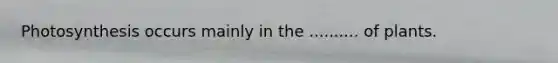 Photosynthesis occurs mainly in the .......... of plants.