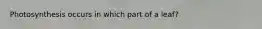 Photosynthesis occurs in which part of a leaf?