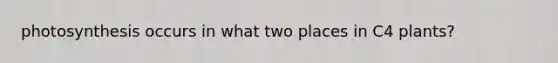 photosynthesis occurs in what two places in C4 plants?