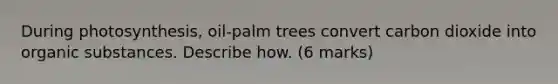 During photosynthesis, oil-palm trees convert carbon dioxide into organic substances. Describe how. (6 marks)