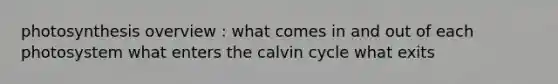 photosynthesis overview : what comes in and out of each photosystem what enters the calvin cycle what exits