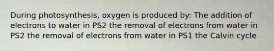 During photosynthesis, oxygen is produced by: The addition of electrons to water in PS2 the removal of electrons from water in PS2 the removal of electrons from water in PS1 the Calvin cycle