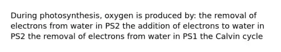 During photosynthesis, oxygen is produced by: the removal of electrons from water in PS2 the addition of electrons to water in PS2 the removal of electrons from water in PS1 the Calvin cycle