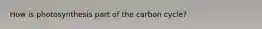 How is photosynthesis part of the carbon cycle?