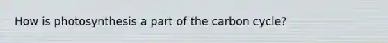 How is photosynthesis a part of the carbon cycle?