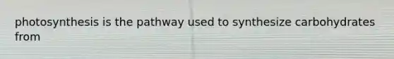 photosynthesis is the pathway used to synthesize carbohydrates from
